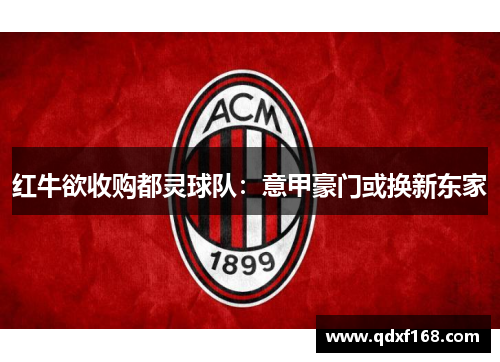 红牛欲收购都灵球队：意甲豪门或换新东家