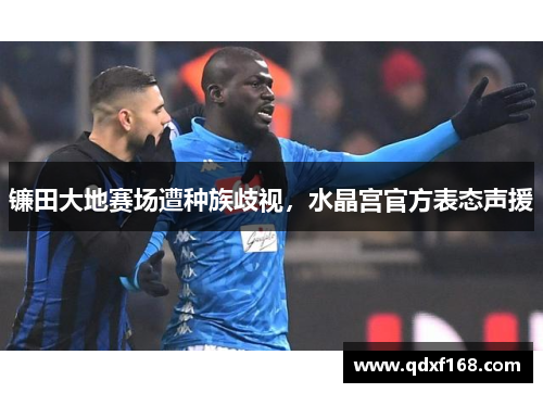 镰田大地赛场遭种族歧视,水晶宫官方表态声援 镰田大地赛场遭种族歧视,水晶宫官方表态声援